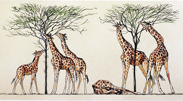 Théorie de la sélection naturelle