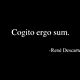 Cogito ergo sum.  rené descartes