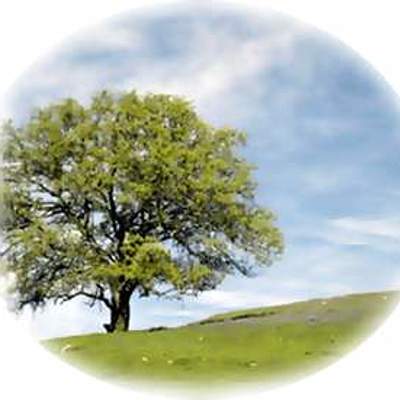 Timeline: Acontecimientos mas importantes de mi vida