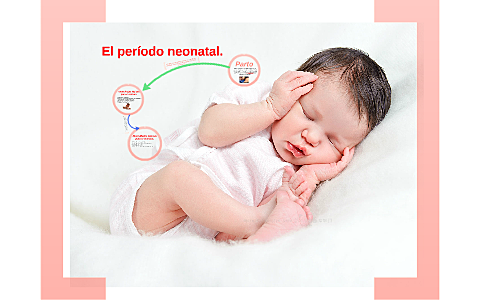 Primero: periodo neonatal
