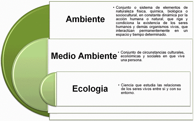 Declaración de Cocoyoc