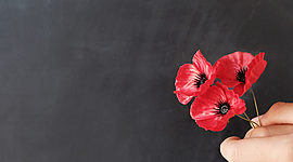 Timeline: the gallipoli campaign