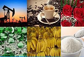 Productos de Exportacion