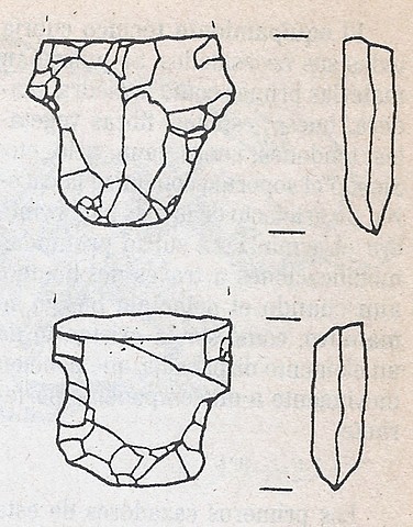 Evidencia de explotación del ambiente