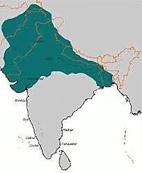 Islam in Northern India
