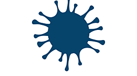 Timeline: COVID-19 en Navacerrada