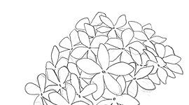 Timeline: Línea temporal historia