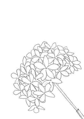 Nace Narciso Díaz de Escovar