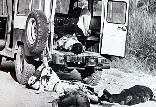 Inicio crisis del bipartidismo