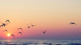 Timeline: My summer plans