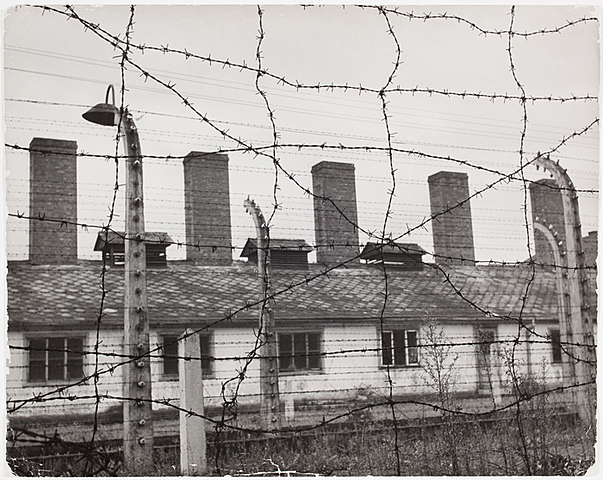 6. Elie is separated from his family in Birkenau