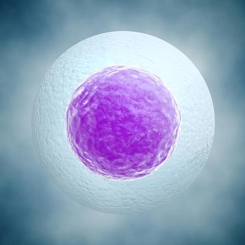 4.000 Millones de años atrás - Primera Célula simple