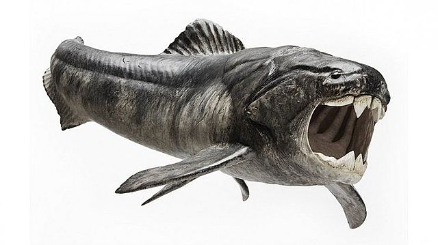 375 Millones de años atrás - Pez Blindado