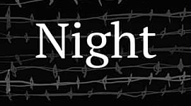 Timeline: Night Timeline