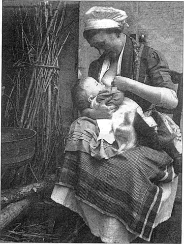 Renacimiento siglo xvll