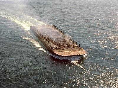 The Clean Water Act, the Marine Mammal Act, and the Ocean Dumping Act