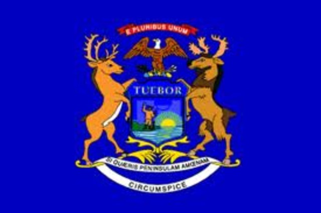 michigan requirement