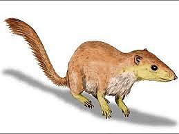 64 Millones de años atrás - Purgatorious