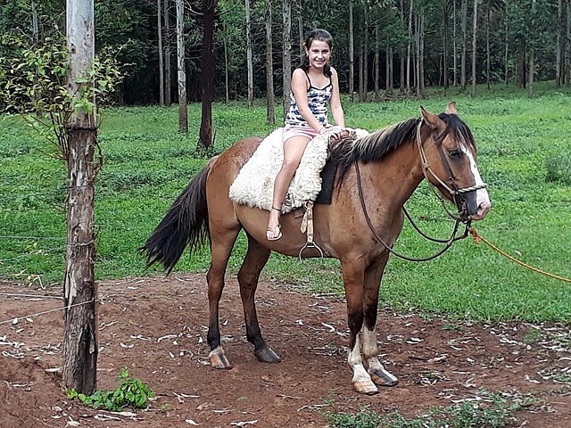 2018 ( 11 years old)