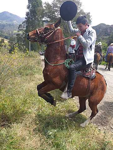 Cabalgata en Honor a la Fiesta de La Virgen Morena de Güicán