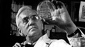 Timeline: EVENTOS DEL SIGLO XX