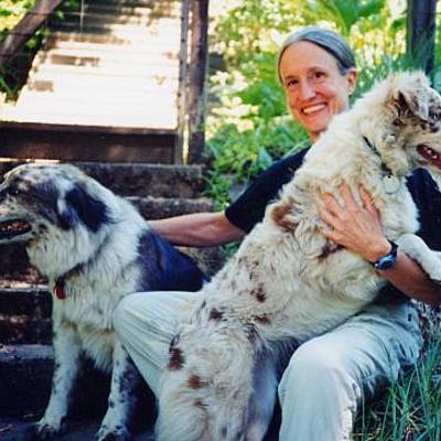 Timeline: Donna Haraway (1944-) Contributions to the Philosophy of Science