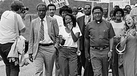 Timeline: The Environmental Movement By: Avery Thomas