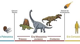 Timeline: Las tres eras geologicas