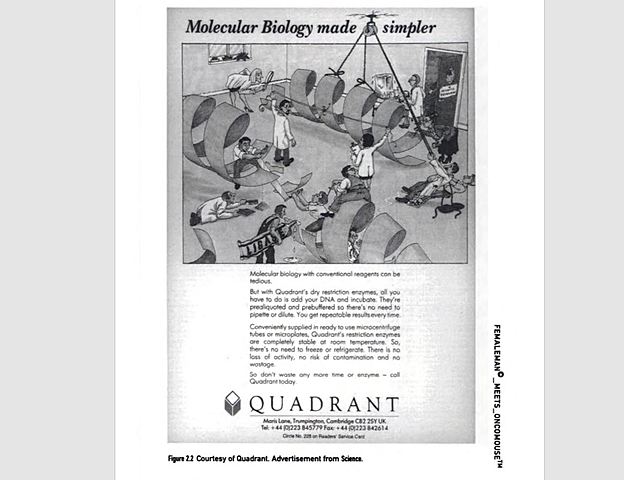 Donna Haraway (1944-) - The Search for Organizing Relations: An Organismic Paradigm in Twentieth-Century Developmental Biology