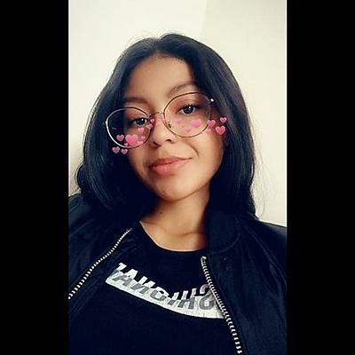 Timeline: Cronología Contaduría Pública