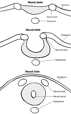Days 22-23: Stage 10