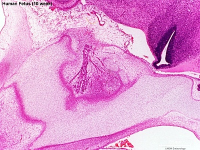 Days 33-36: Stage 15