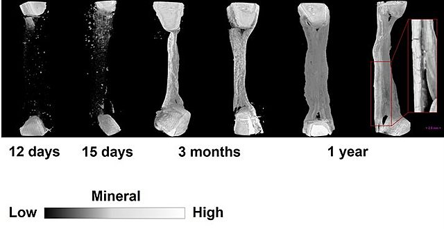 Days 44-47: Stage 18