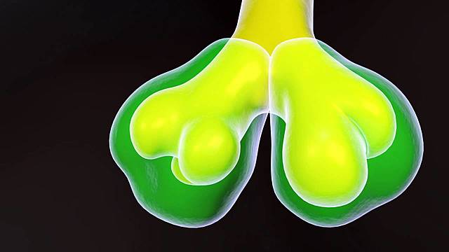 Days 48-49: Stage 19