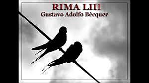 Rima LIII