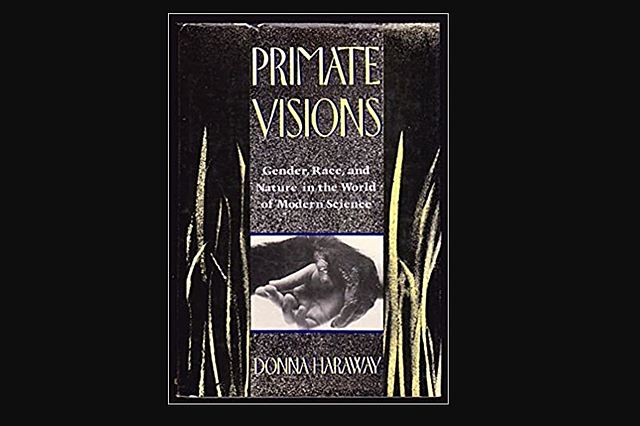 Donna Haraway (1944-) - Primate Visions: Gender, Race, and Nature in the World of Modern Science