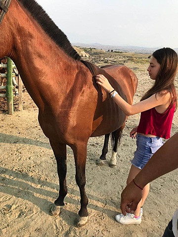 Mis dieciséis años