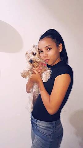 La llegada de mi perrita