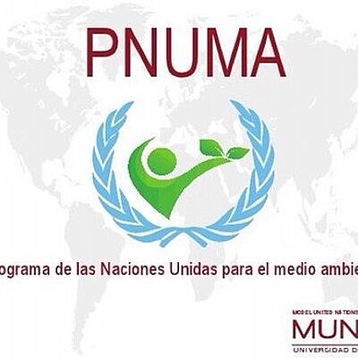 PNUMA