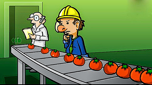 Etapa de inspección