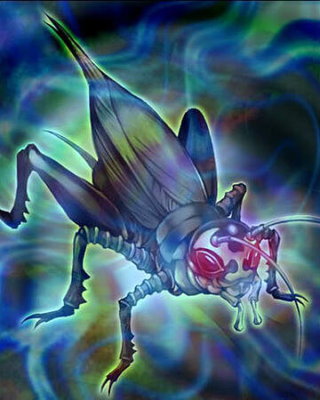 Eliminacion de los insectos