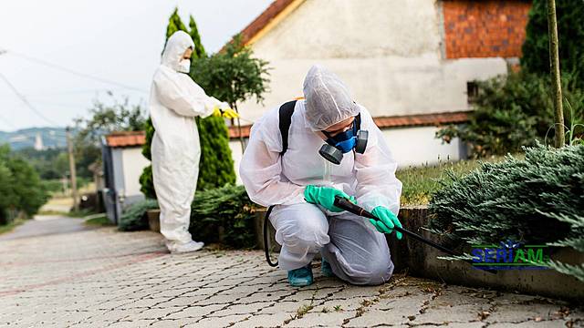 Exterminación de los insectos