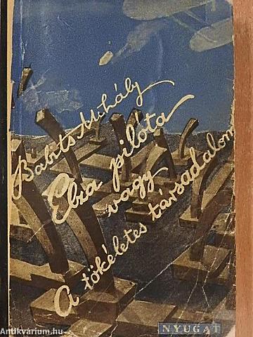 Elza pilóta, vagy a tökéletes társadalom