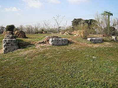 La gripe en Colombia