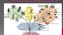 Timeline: Evolución biológica.