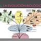 La evolución biológica