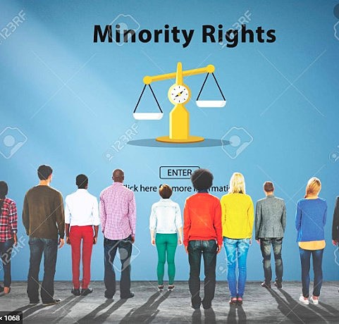 Primer proyecto de declaración de protección a las minorías,