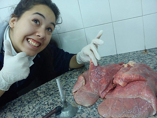 Laboratorio en clase de biología