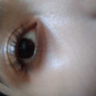 Timeline: LOS ÓRGANOS DE LOS SENTIDOS