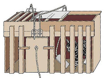 Thorndike & Experimental psychology